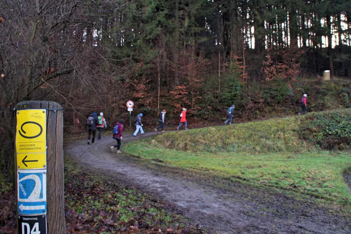 Happy Losar!  Silent Walk ins neue Jahr! Am 03.02.2019